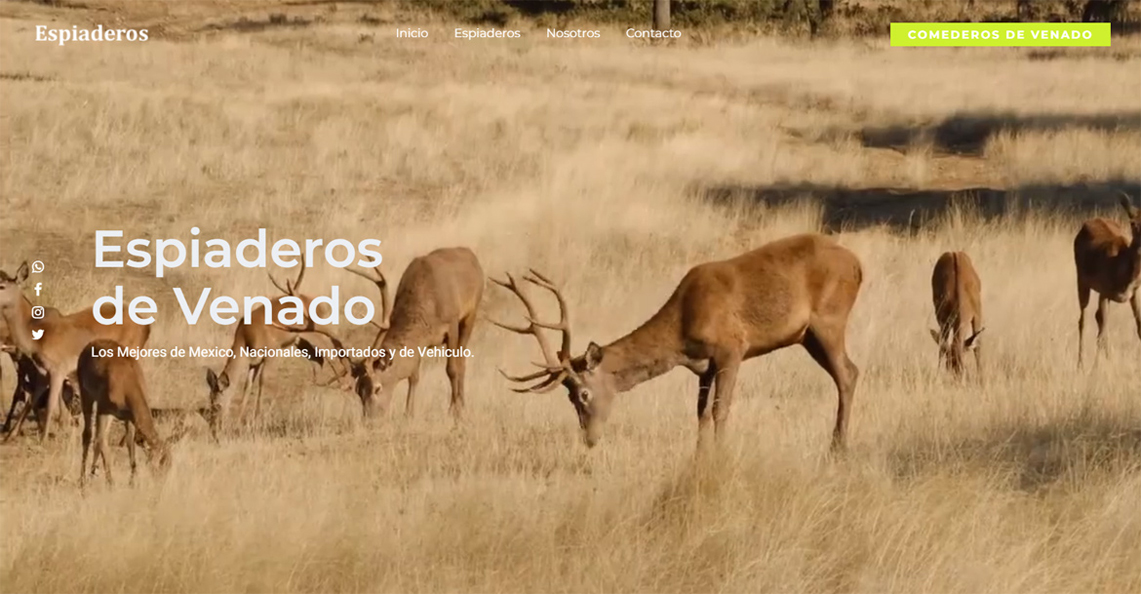 Diseño de sitios web monterrey
